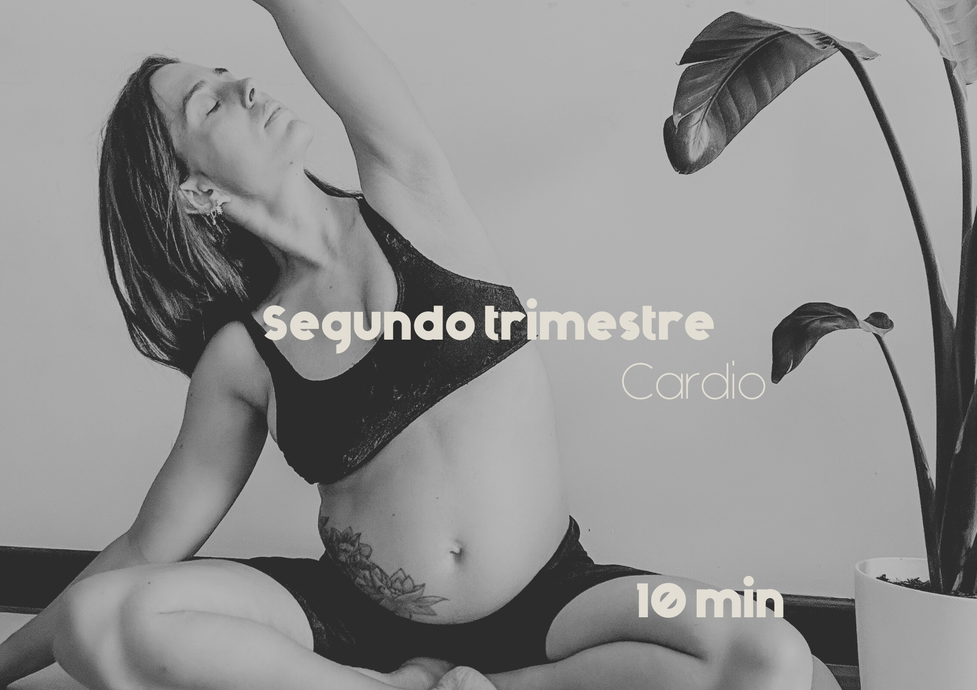 Segundo trimestre: cardio