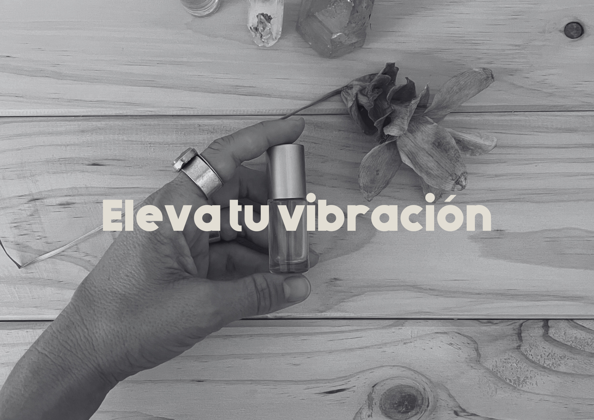 Taller: eleva tu vibración