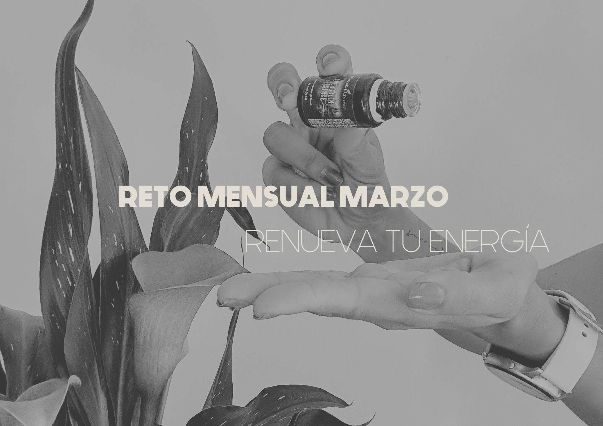 Marzo: renueva tu energía